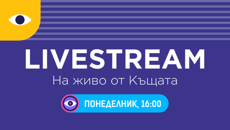 изображение на Big Brother Live