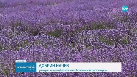 изображение на Новините на NOVA (07.06.2025 - централна емисия)