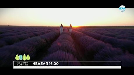 изображение на Да хванеш гората - неделя по NOVA (15.06.2025)