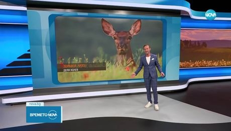 изображение на Прогноза за времето (16.06.2025 - обедна емисия)