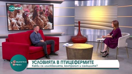 изображение на Социална мрежа (25.06.2025)