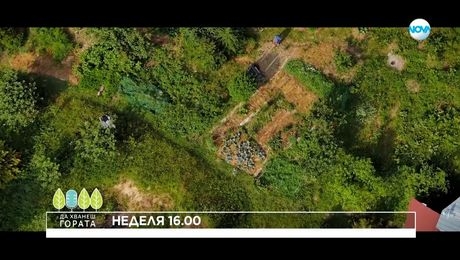 изображение на Да хванеш гората - неделя по NOVA (06.07.2025)