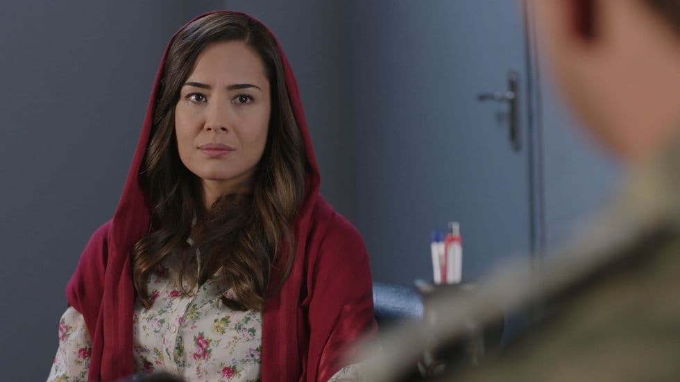 изображение на Черна роза