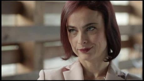 изображение на Откраднат живот