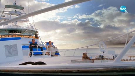 изображение на Хавай 5-0