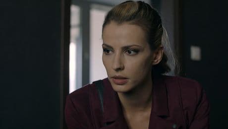 изображение на Братя