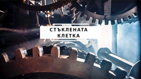 изображение на Стъклената клетка