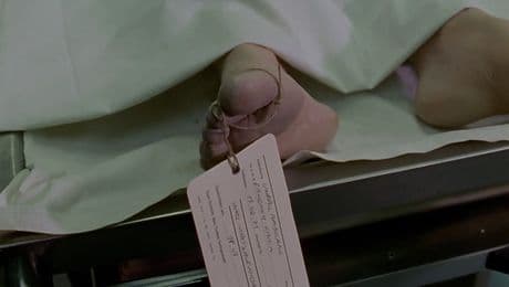 изображение на Комисар Рекс