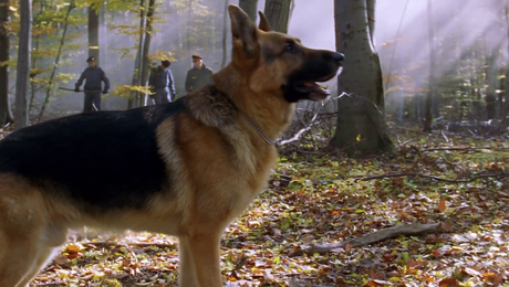 изображение на Комисар Рекс