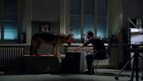 изображение на Комисар Рекс