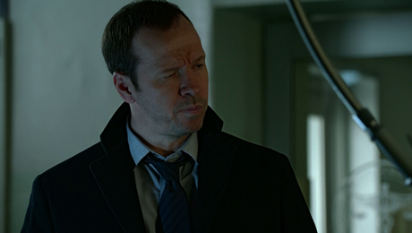 изображение на Синя кръв