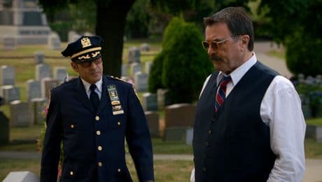 изображение на Синя кръв