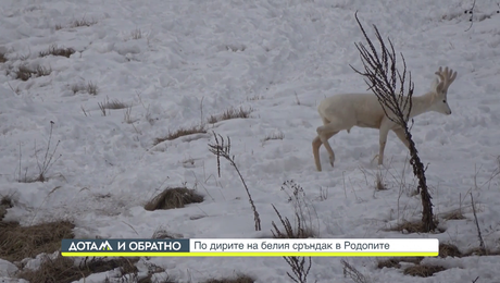 изображение на Дотам и обратно (22.12.2023)