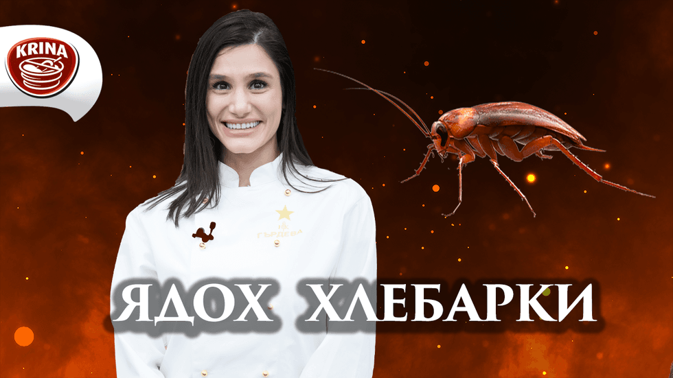 зареждане на видео