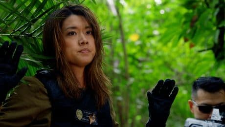 изображение на Хавай 5–0