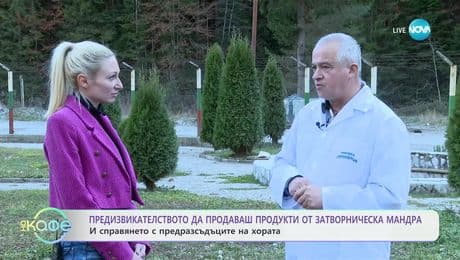 изображение на Как лишени от свобода произвеждат кисело мляко и сирене - „На кафе“ (13.01.2025)