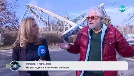 изображение на Орлин Горанов: На разходка в столичния зоопарк - „На кафе“ (29.01.2025)