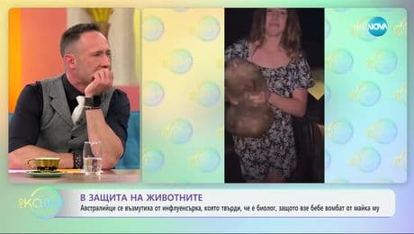 изображение на Австралийци се възмутиха от инфлуенсърка, защото взе бебе вомбат от майка му - „На кафе“ (13.03.2025)
