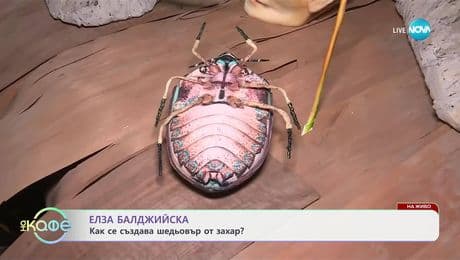 изображение на „Insects“ - първи ъндърграунд фестивал на захарната култура - „На кафе“ (25.04.2025)