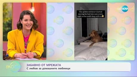 изображение на Забавно от мрежата: С любов за домашните любимци - „На кафе“ (02.05.2025)