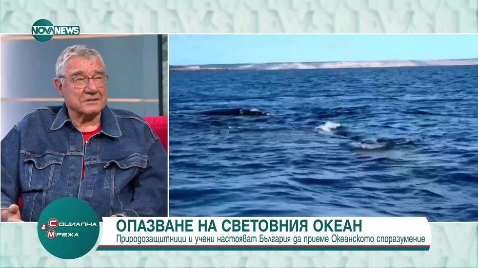 зареждане на видео