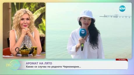 изображение на Аромат на лято: Какво се случва по родното Черномирие - „На кафе“ (05.06.2025)