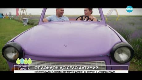 изображение на Да хванеш гората (15.06.2025)