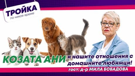 изображение на Козата Ани и нашите отношения с домашните любимци! Гост: д-р Мила Бобадова | Тройка по никое време Podcast