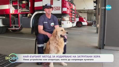 изображение на Пожарникарски кучета: Кои са пожарникарите, които обучават четириногите си за спасителни мисии- „На кафе” (02.07.2025)