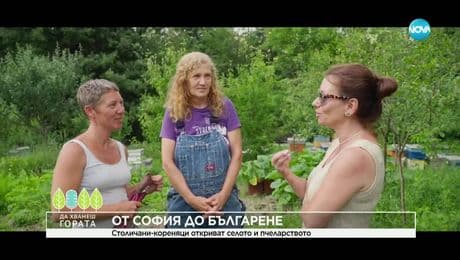 изображение на Да хванеш гората (06.07.2025)