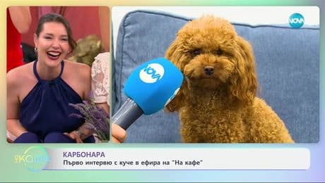 изображение на Златното детство: Как израстнаха децата на 90-те - „На кафе” (04.07.2025)