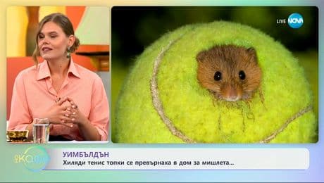 изображение на Уимбълдън: Хиляди тенис топки се превърнаха в дом за мишлета - „На кафе” (09.07.2025)