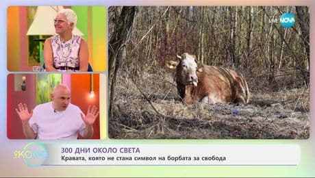 изображение на „300 дни около света“ - с Теньо: ЕЗЕРОТО НИСА, ПОЛША - „На кафе” (09.07.2025)