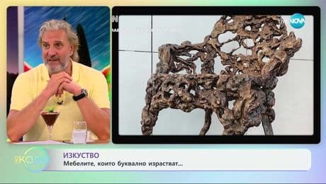 изображение на Изкуство: Когато мебелите буквално израстват - „На кафе” (09.07.2025)