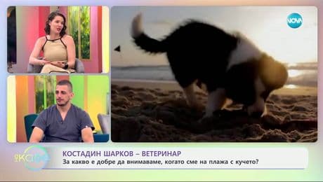 изображение на Костадин Шарков: Как да се грижим за кучето през летния сезон? - „На кафе” (15.07.2025)