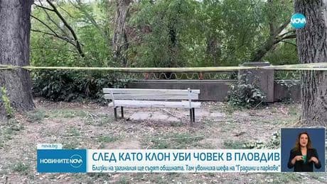 изображение на Новините на NOVA (25.08.2025 - лятна късна емисия)