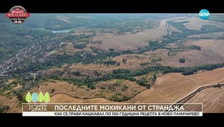 изображение на Да хванеш гората (07.09.2025)