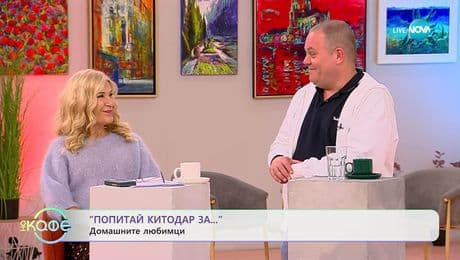 изображение на „Попитай Китодар“: За домашните любимци - „На кафе“ (04.11.2025)