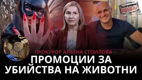 изображение на Прокурор Албена Стоилова: Промоции за убийства на животни | Телеграфно Podcast
