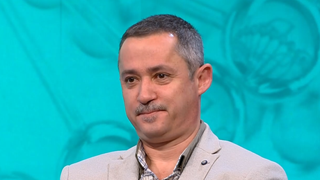 изображение на Пулс (22.11.2025)