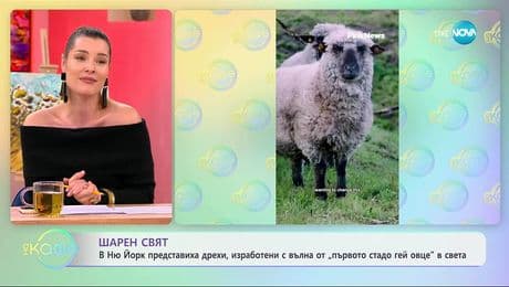 изображение на Представиха дрехи, изработени с вълна от „първото стадо гей овце“ в света - „На кафе“ (26.11.2025)