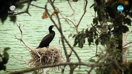 изображение на Неразказани истории от Севера: Виа Понтика