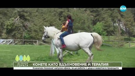 изображение на Да хванеш гората (30.11.2025)