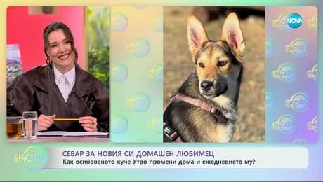 изображение на Севар за новия си домашен любимец - „На кафе“ (01.12.2025)