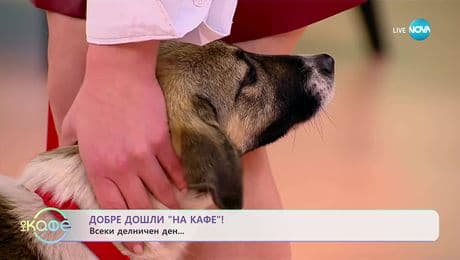 изображение на Да намерим дом на Куки: Станислава Айви ни води гости - „На кафе“ (02.12.2025)