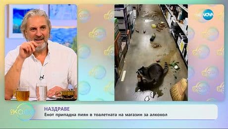 изображение на Енот припадна пиян в тоалетната на магазин за алкохол - „На кафе“ (04.12.2025)