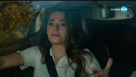 изображение на Диво сърце