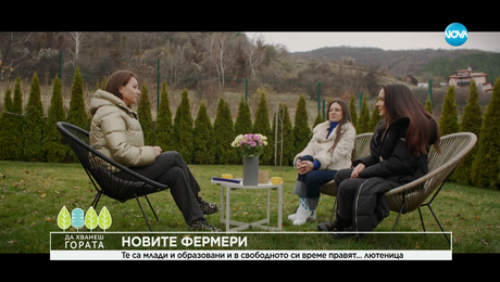 изображение на Да хванеш гората (21.12.2025)