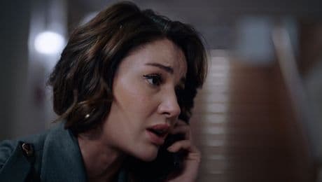 изображение на Шербет от боровинки