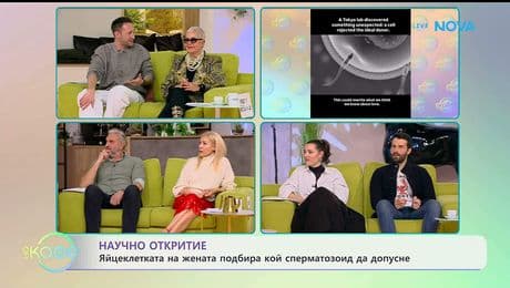 изображение на Научно откритие: Яйцеклетката на жената подбира кой сперматозоид да допусне - „На кафе“ (13.01.2026)
